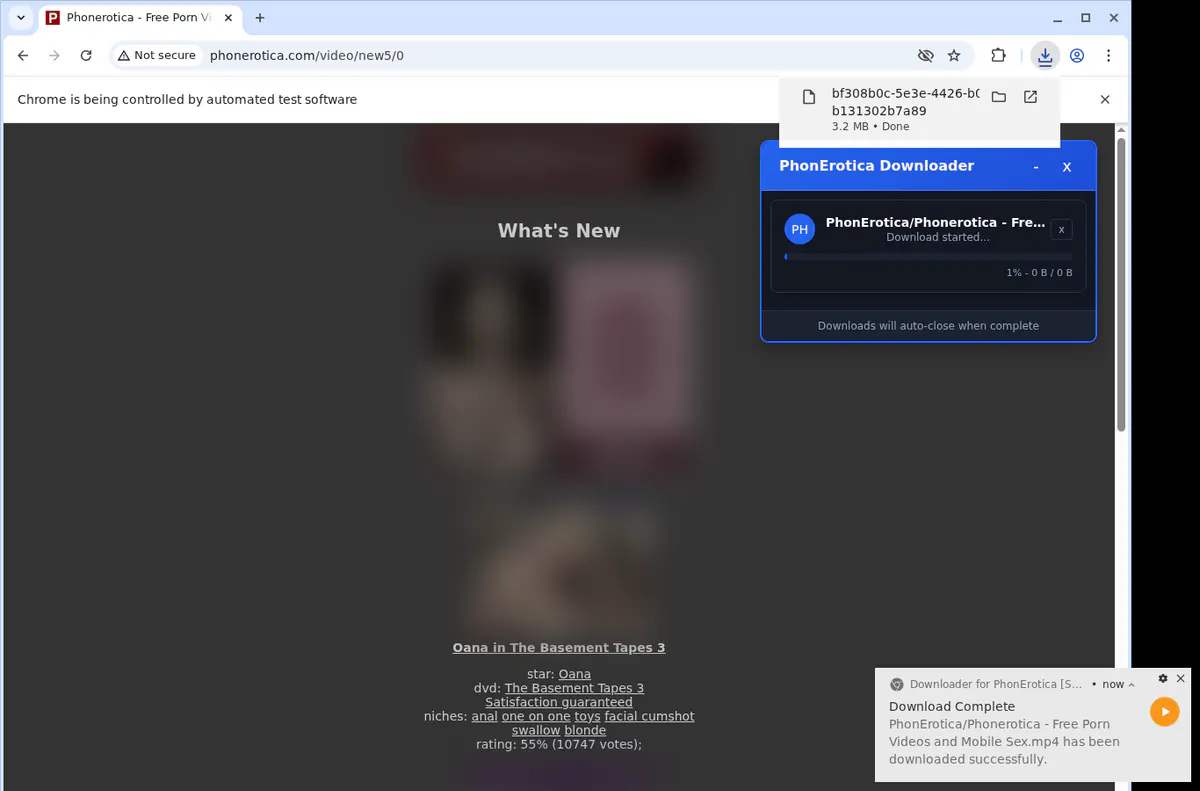 Phonerotica Video Downloader screenshot 2