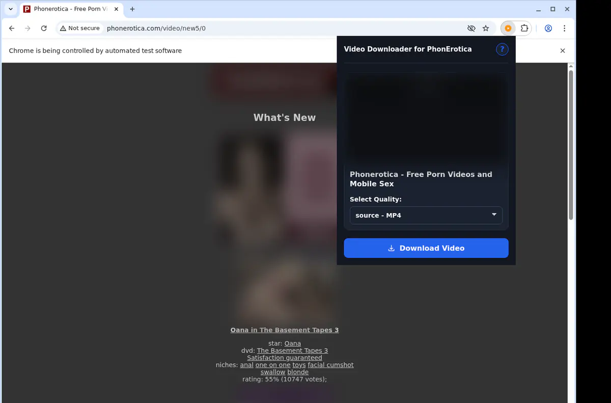 Phonerotica Video Downloader screenshot 3